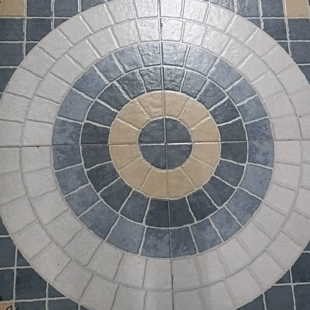 49292584-2077957029.png