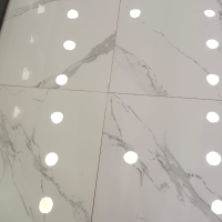 Carana Polaries villa glossy