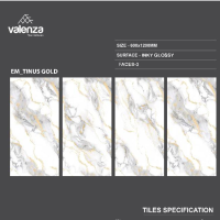 EM TINUS GOLD