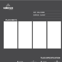 PLAIN WHITE