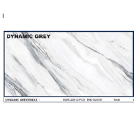 DYNAMIC GREY  (ENDLESS)
