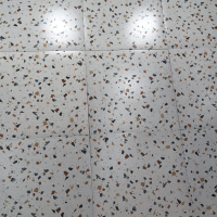 3123