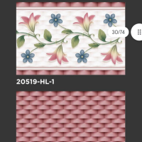 20519
