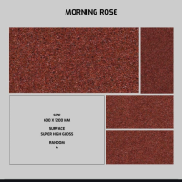MORNING ROSE