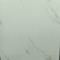 Gust white
