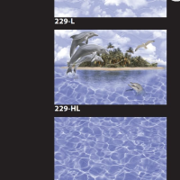 229