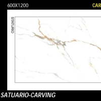 SATUARIO