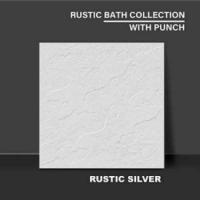 RUSTIC SILVER