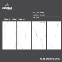 SMART STATURAIO