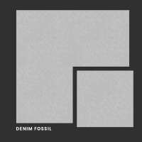 DENIM FOSSIL